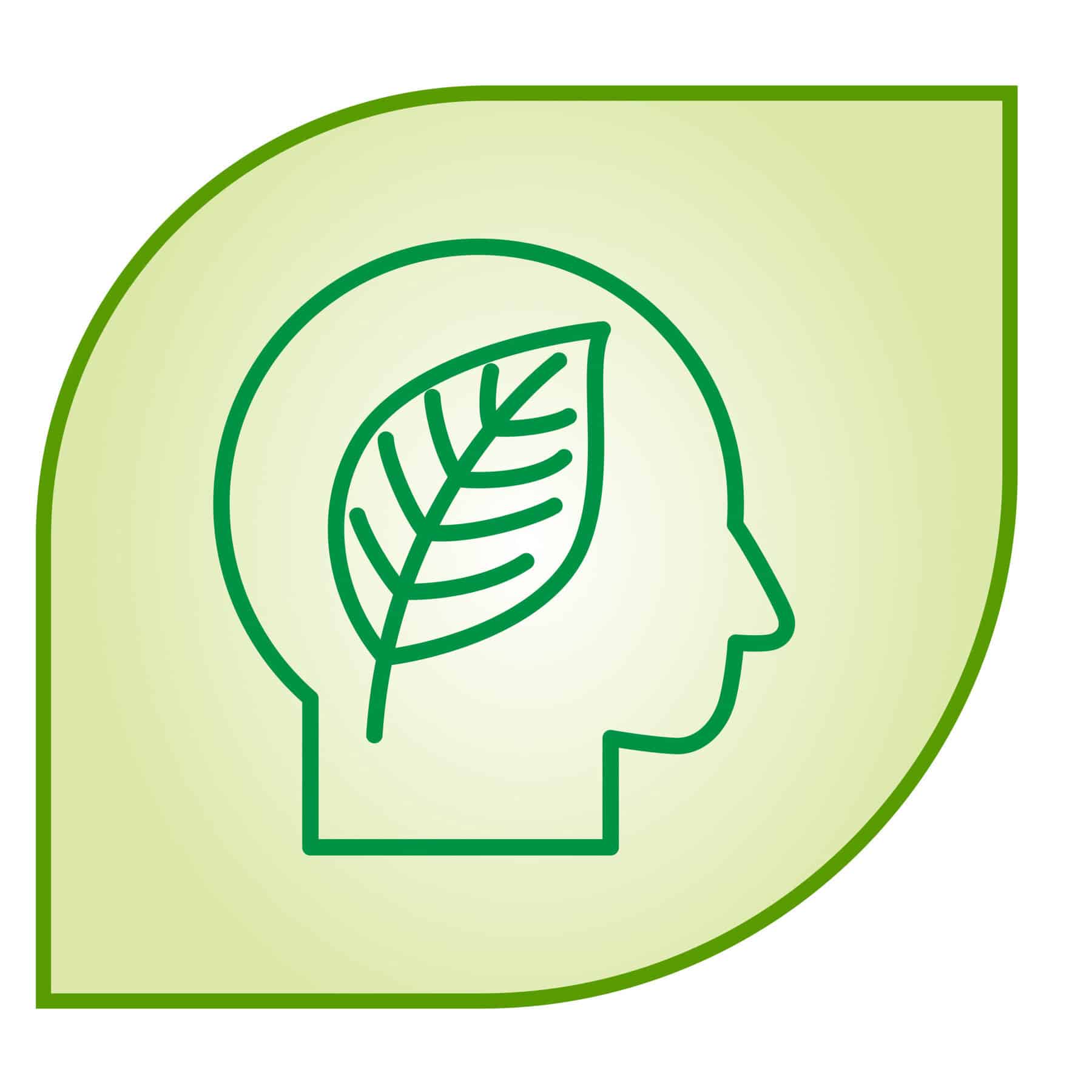 Our commitment to sustainability - Olea Care Group