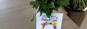 Post card and flowers sent to a Olea Care Group resident