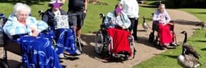 advetures in the park with Olea Care